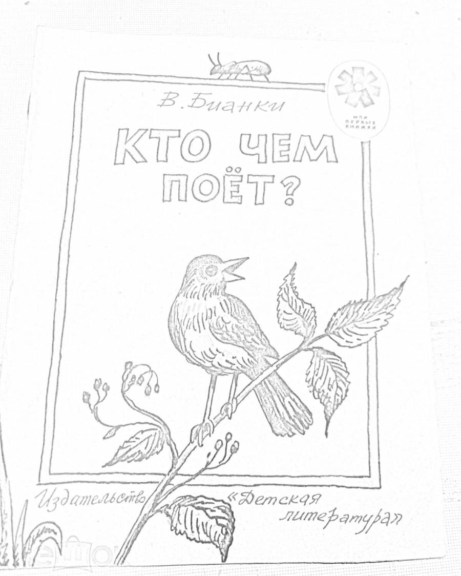 Раскраска бианки
