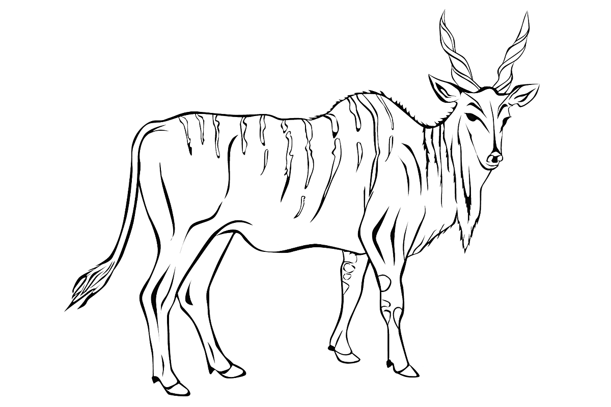 Раскраска Антилопа с полосами и рогами на ногах