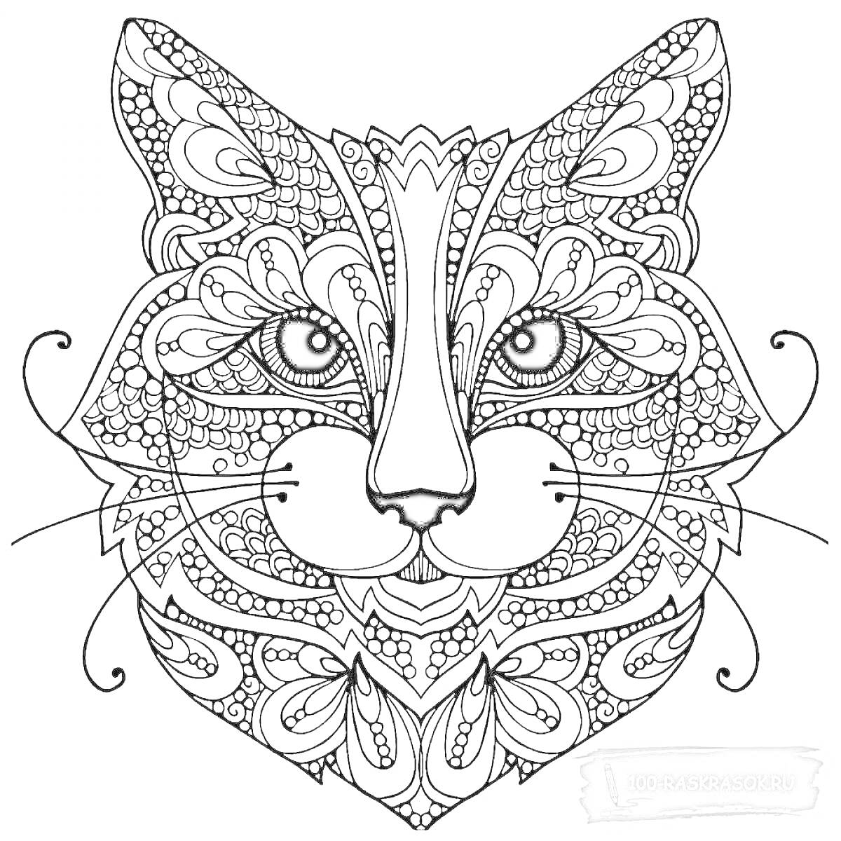 Раскраска Декоративная кошачья голова с орнаментом в стиле антистресс