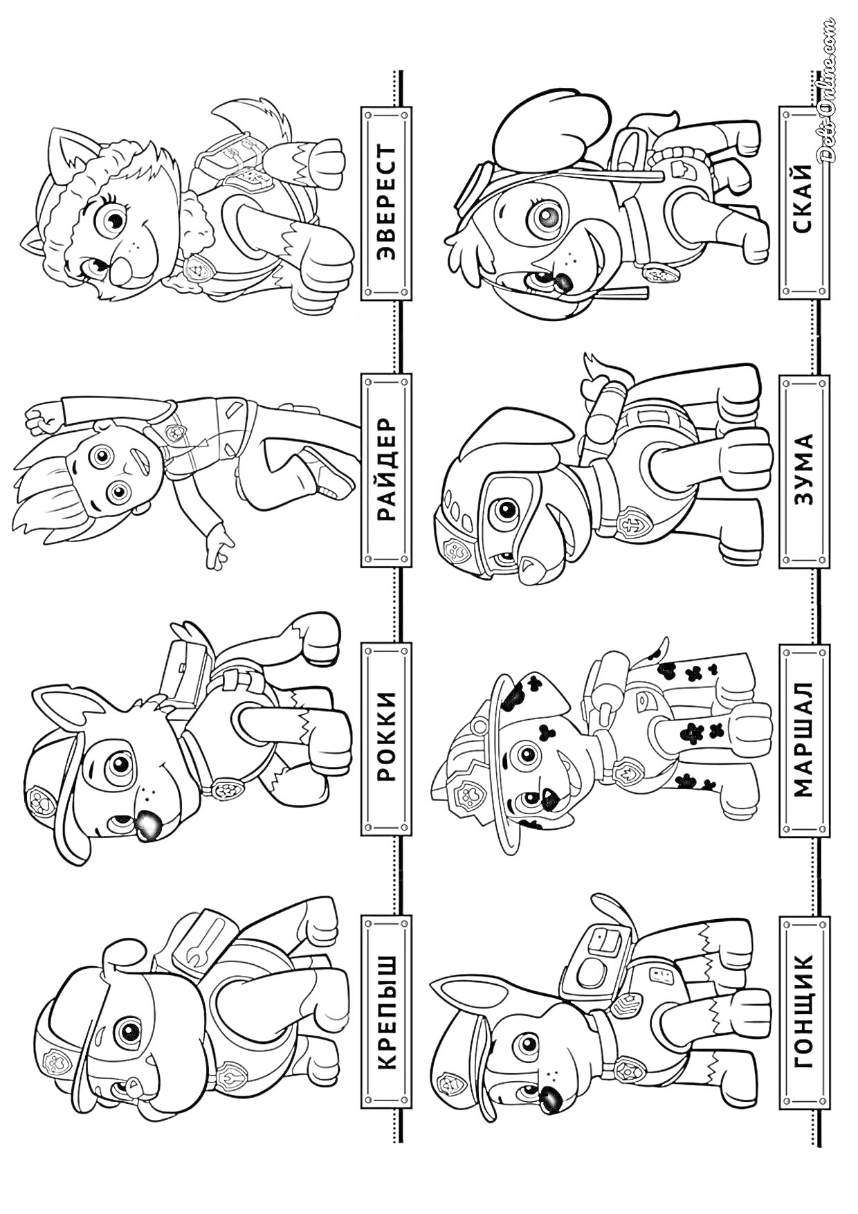 На раскраске изображено: Щенячий патруль, Эверест, Скай, Рокки, Райдер, Гонщик, Маршал, Крепыш, Зума