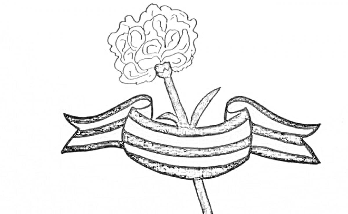На раскраске изображено: Гвоздика, Георгиевская лента, Патриотизм, Символика
