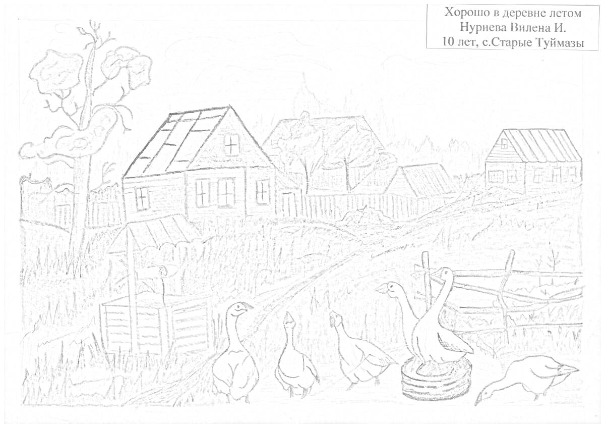 Раскраска Домики в деревне, огражденная деревьями и забором, несколько гусей и гусенок на переднем плане, огород, деревянные сараи, сельская дорога, заборы, деревья