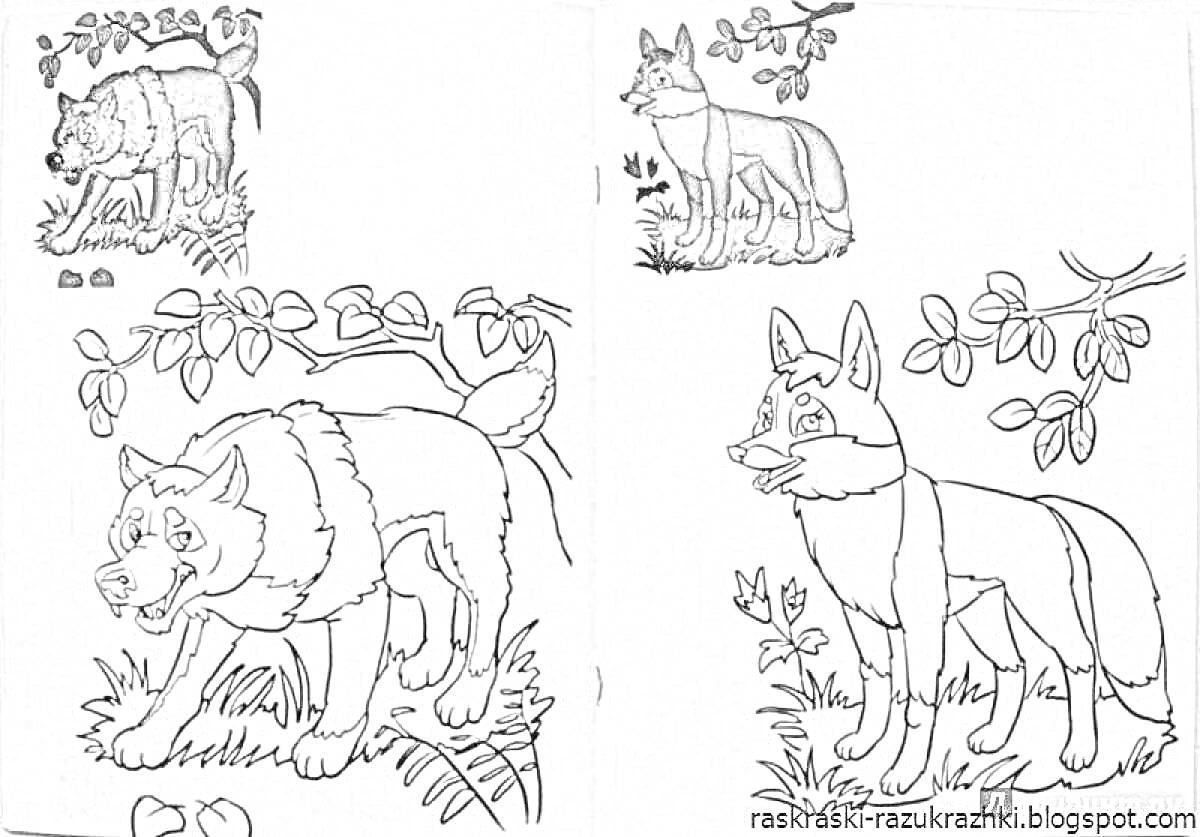 На раскраске изображено: Волк, Лес, Трава, Дикие животные, 5 лет, 6 лет, Для детей, Ветка