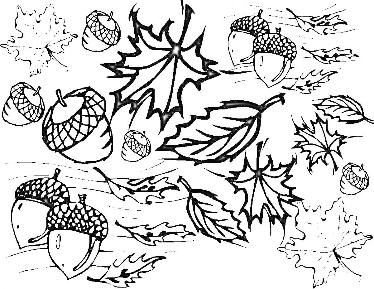 На раскраске изображено: Осень, Листья, Желуди, Природа, Узоры, Осенние листья