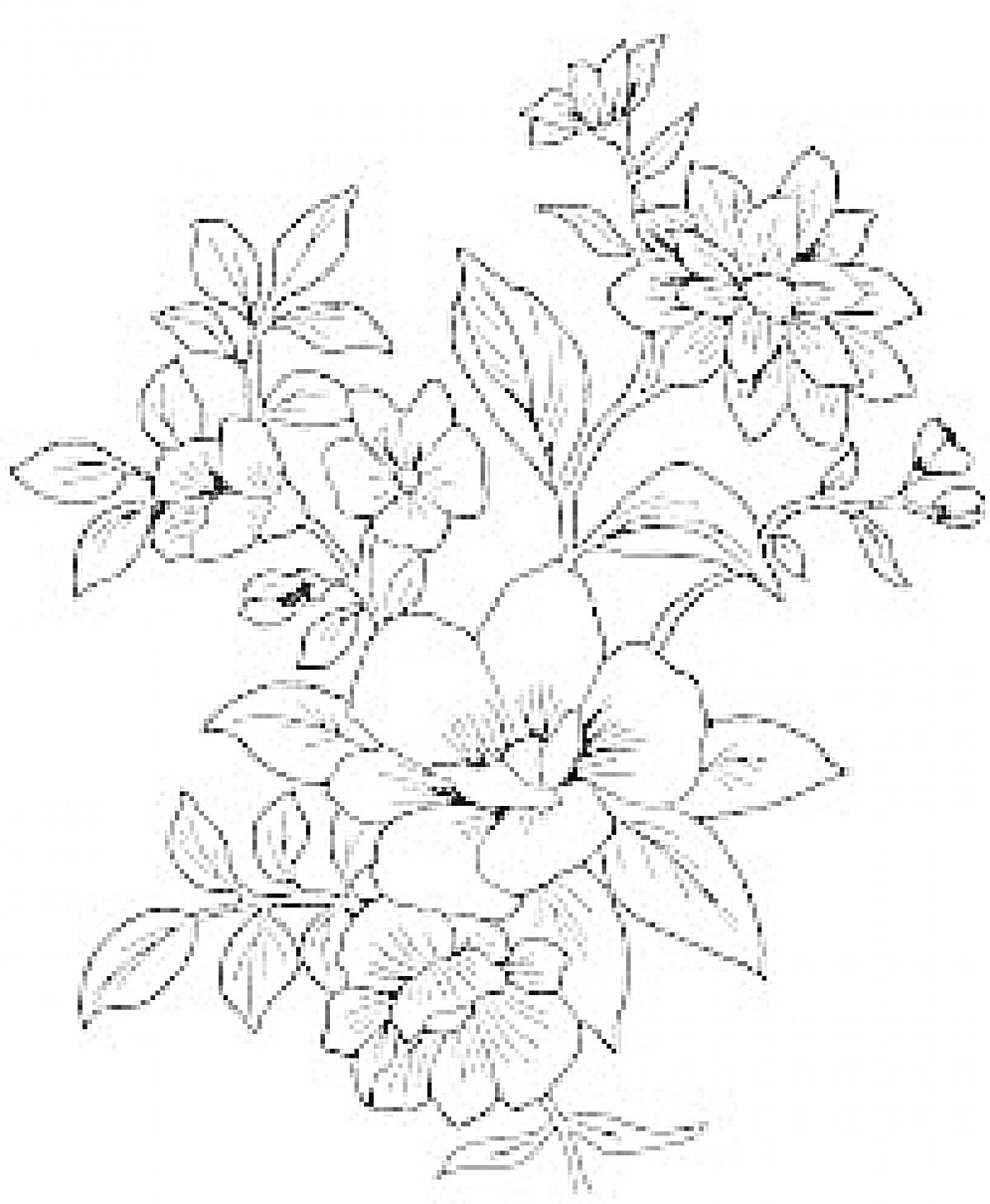Раскраска Букет цветов с листьями и бутонами