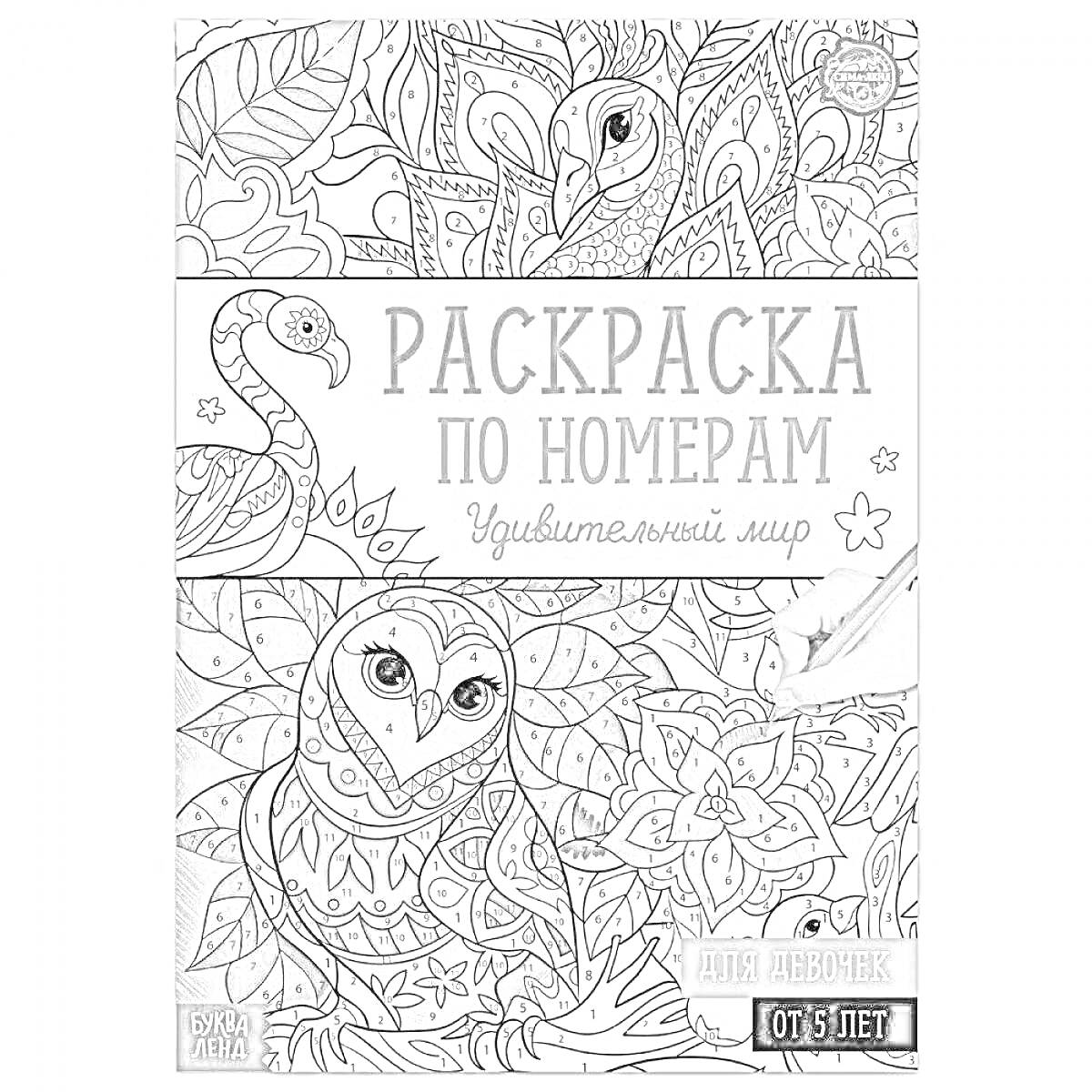 Раскраска Раскраска по номерам. Удивительный мир. Для девочек от 5 лет. Совы и попугаи, листва и цветы