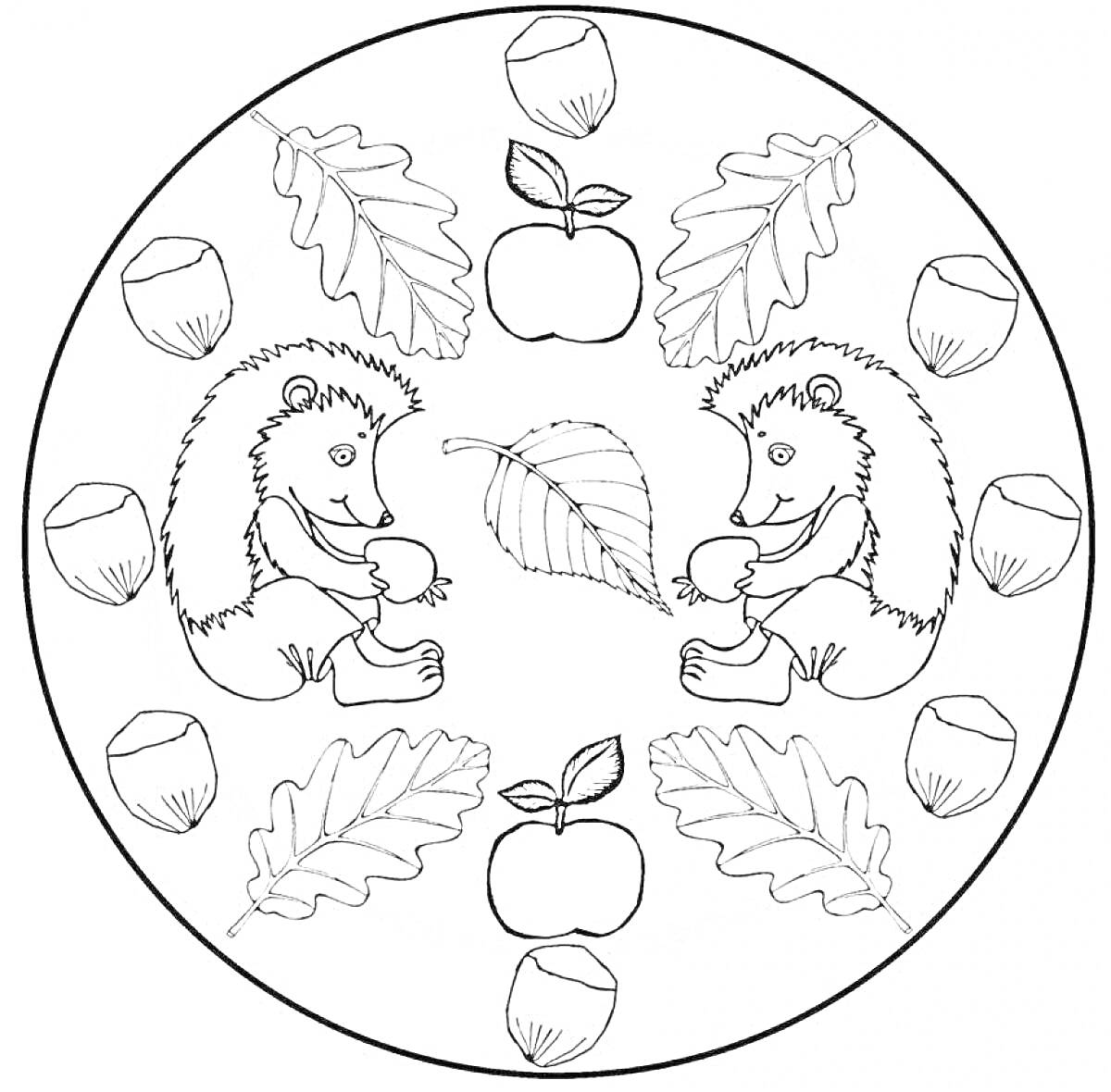 Раскраска два ёжика с орехами, листья, яблоки в круге