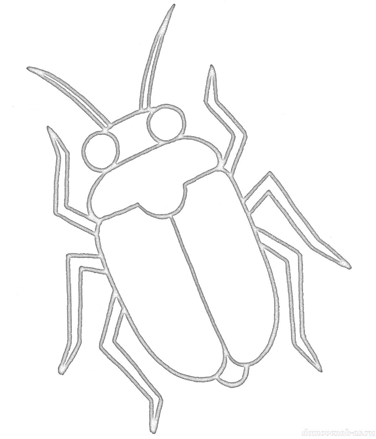 Раскраска Жук с тремя парами ног и длинными усиками