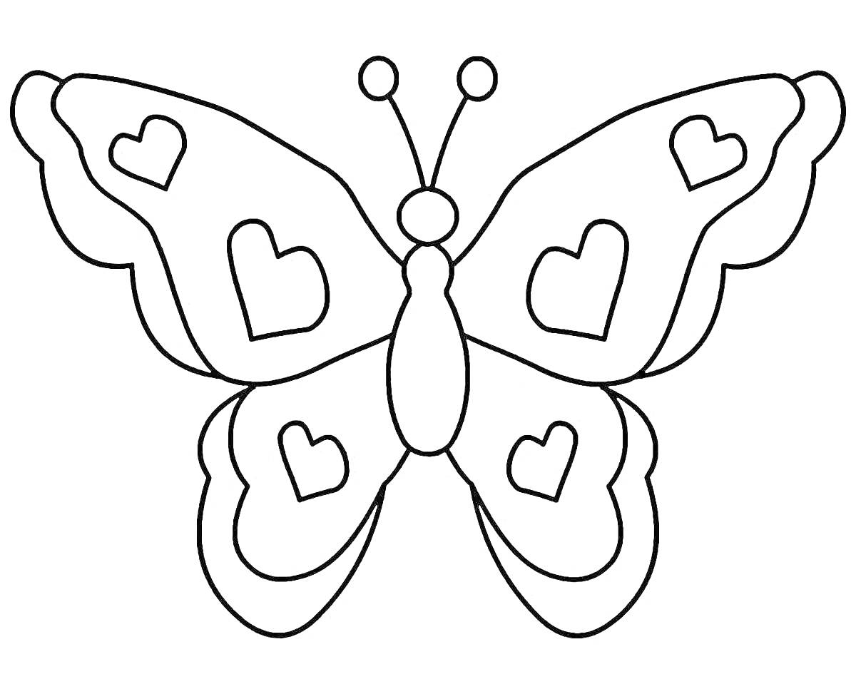 На раскраске изображено: Бабочка, Трафарет, Крылья, Антенны, Контурные рисунки, Сердца
