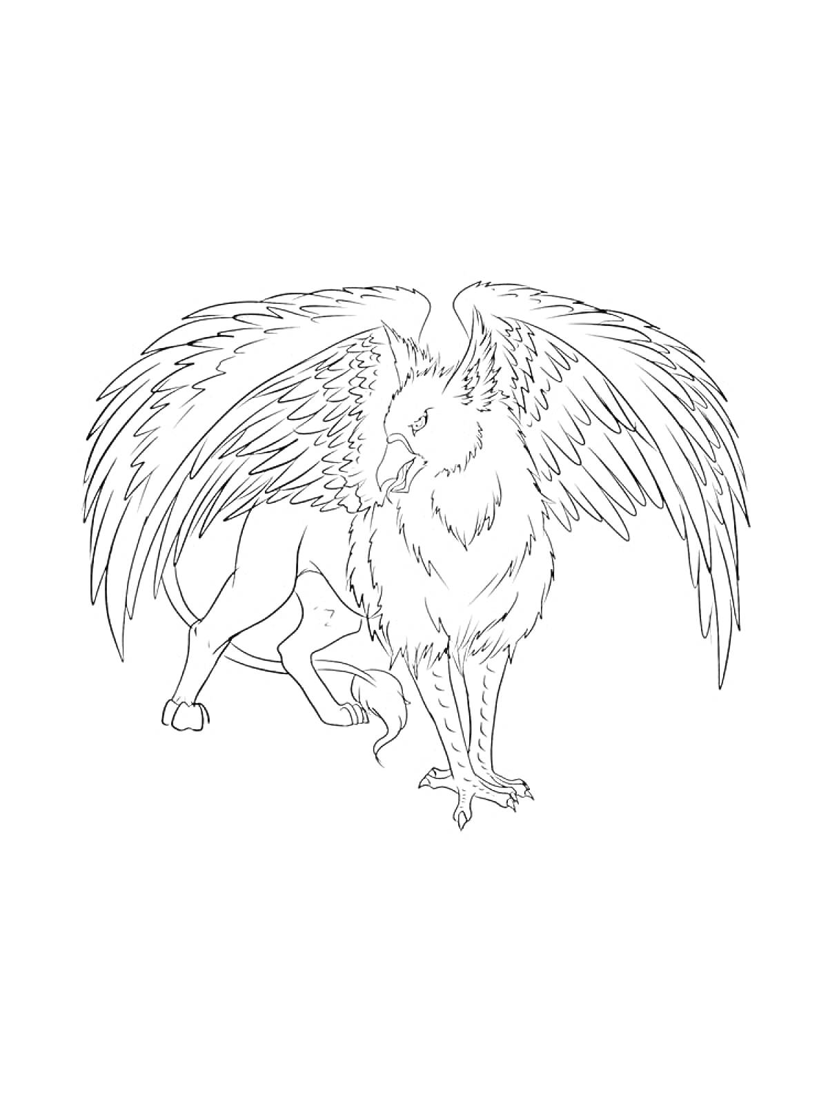 Раскраска Грифон с крупными крыльями и охватывающий позой
