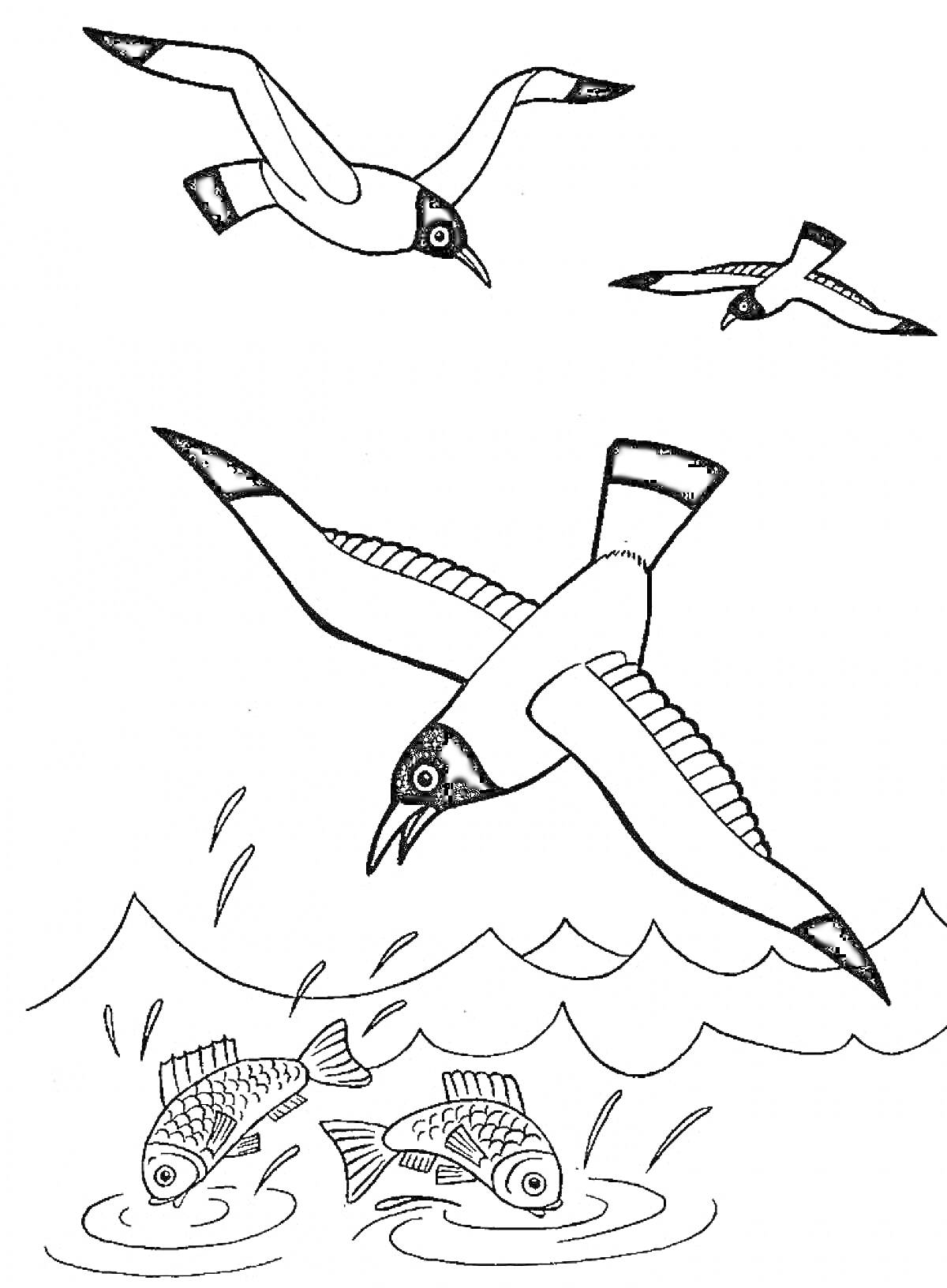 Раскраска Чайки, летающие над водой, с рыбами