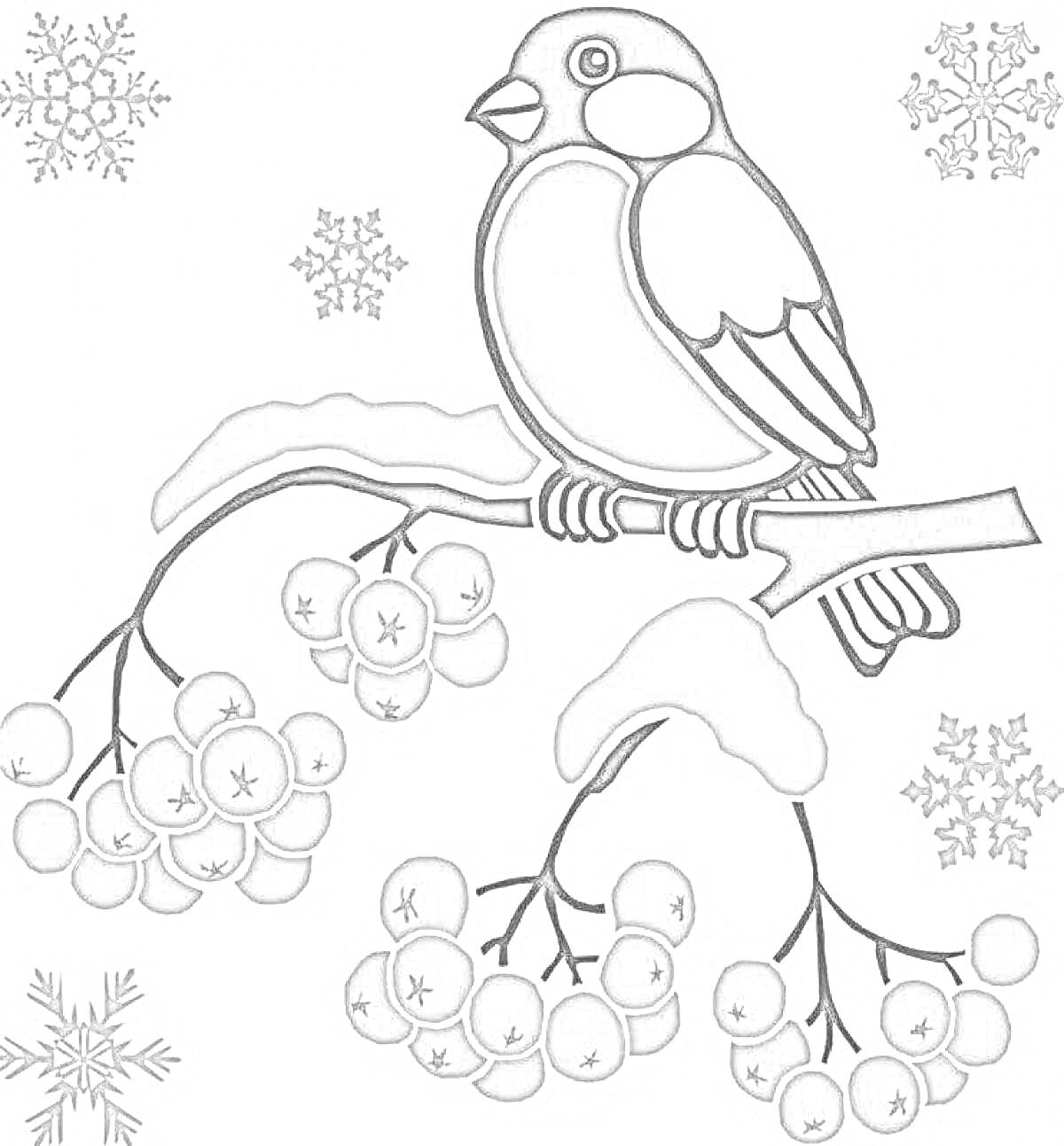 На раскраске изображено: Снегирь, Птица, Ветка, Ягоды, Снежинки, Зима, Природа, Для детей