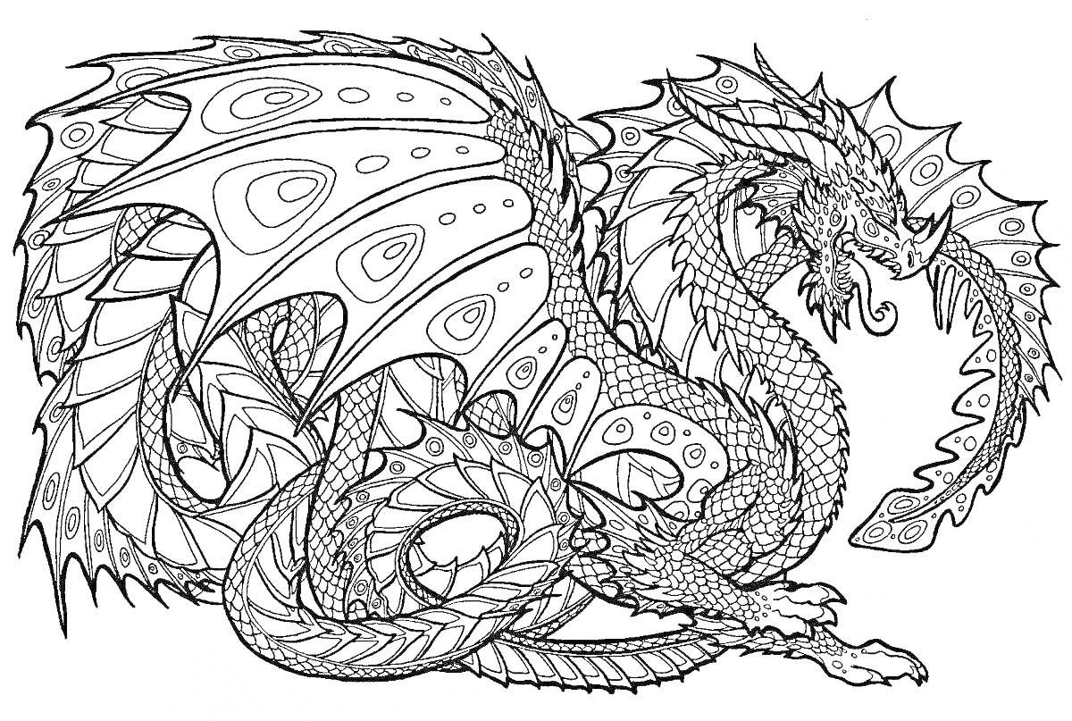 Раскраска Дракон с детализированными крыльями и чешуей