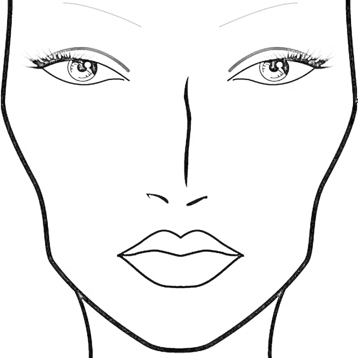 Раскраска Шаблон для макияжа с женским лицом, глаза с ресницами, брови, нос и губы