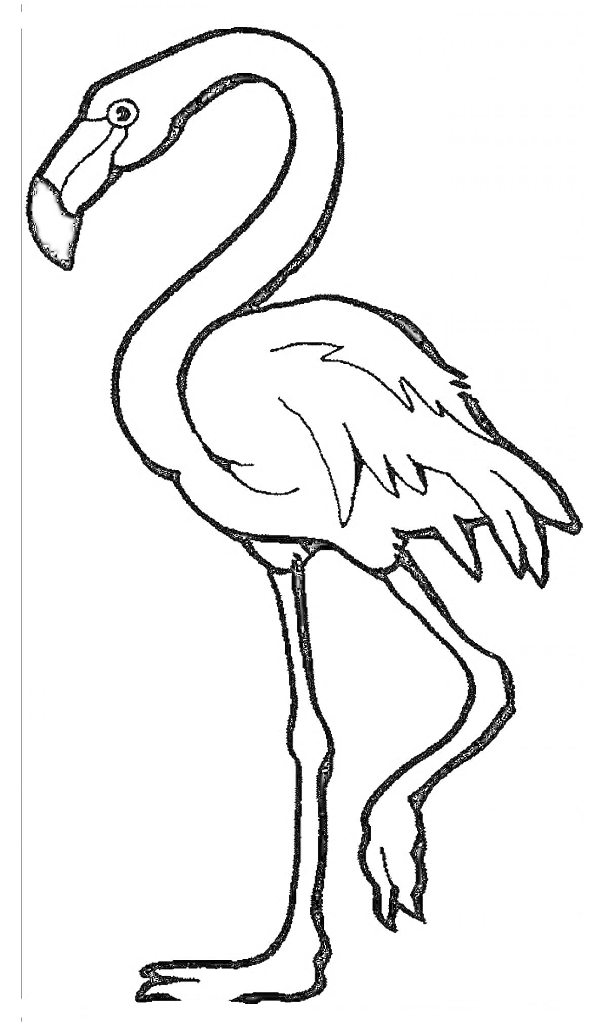 Фламинго, стоящий на одной ноге