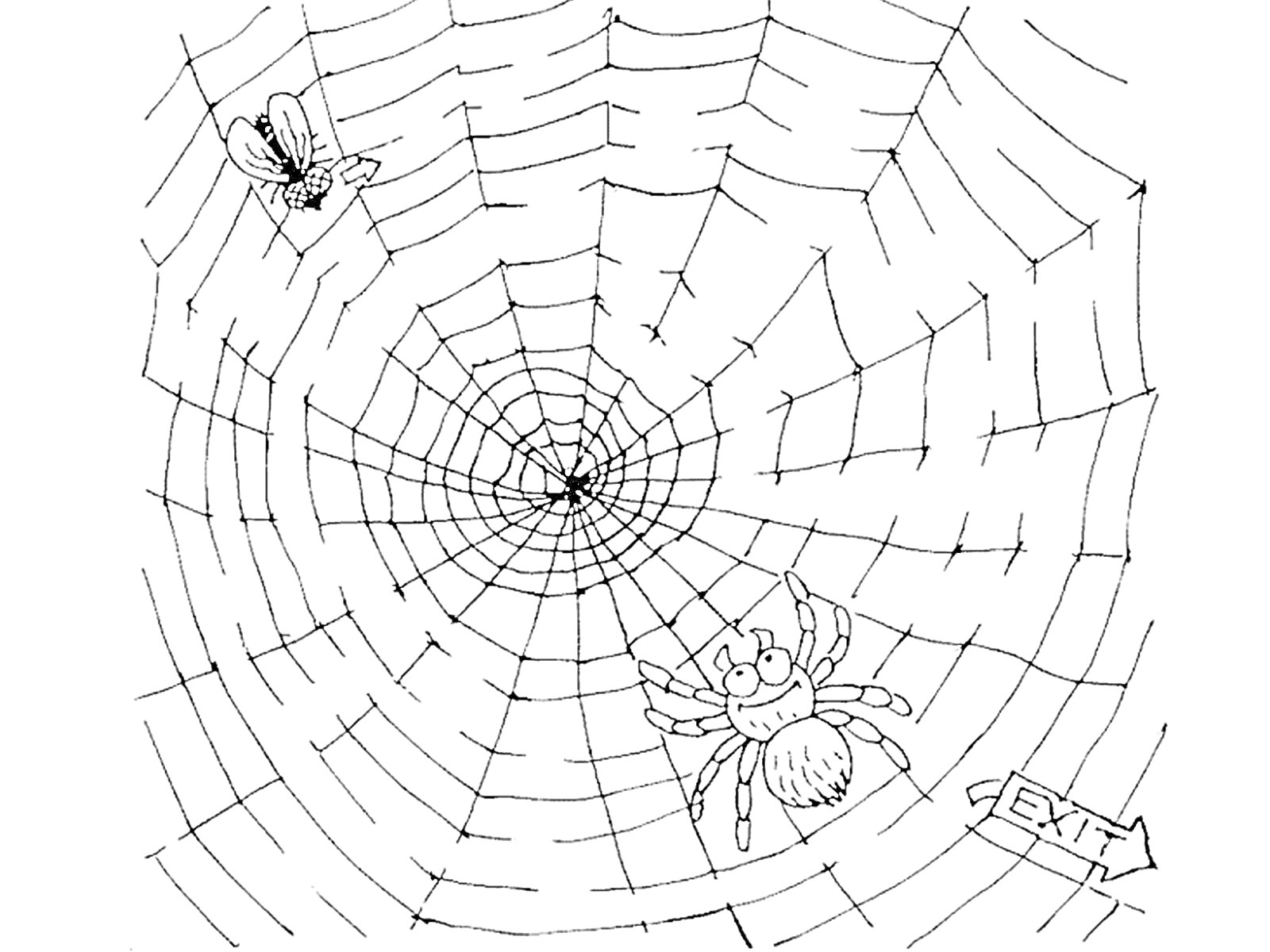 Раскраска Паук на паутине с мухой и указателем выхода