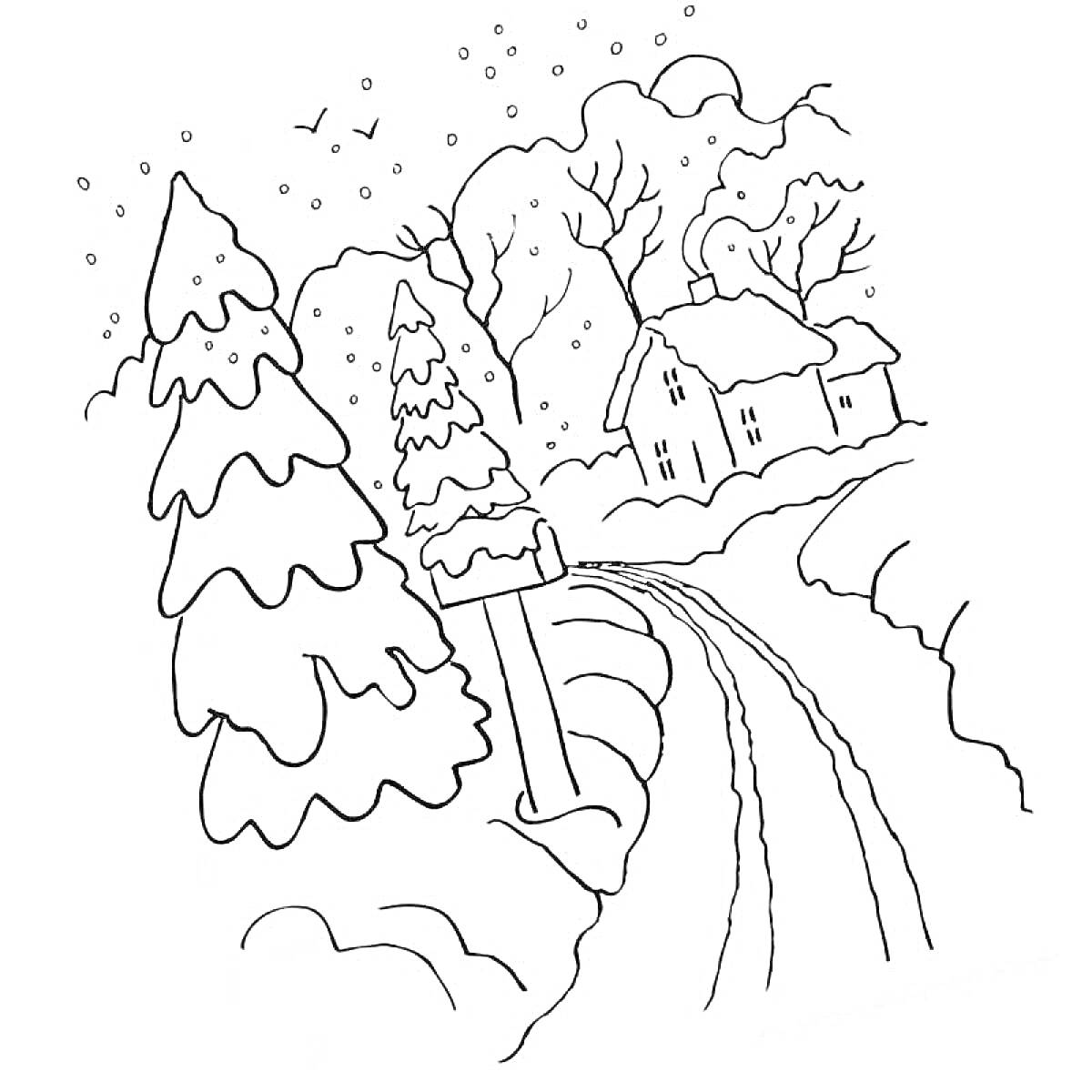 Раскраска Зимний пейзаж с деревьями, домом и дорогой