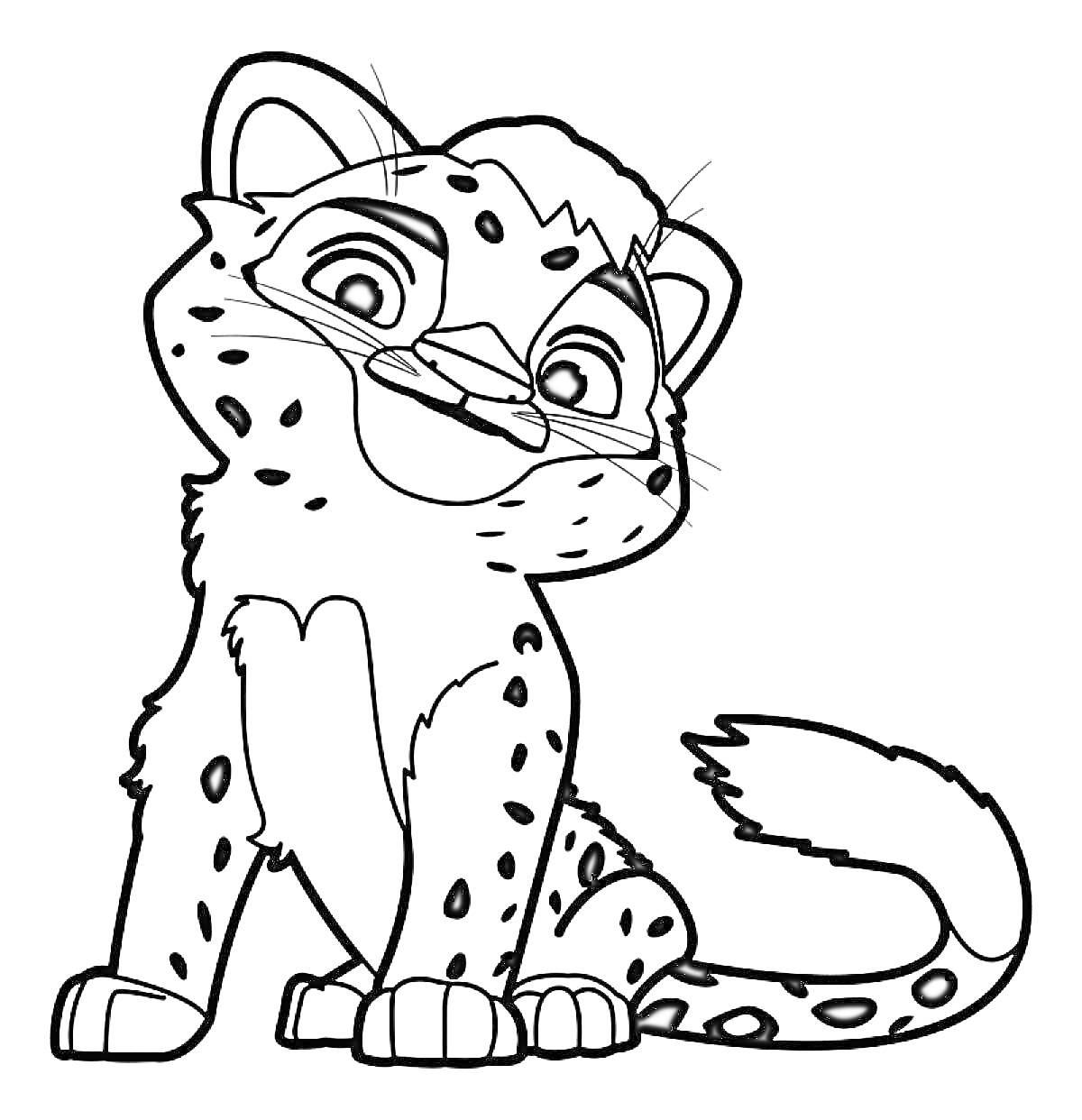 Раскраска Леопард, сидящий на задних лапах, с пятнистым мехом, улыбается
