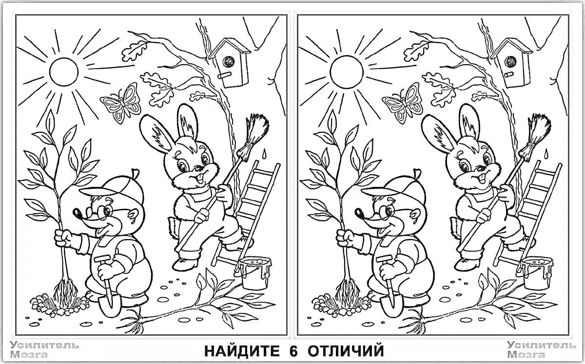 Раскраска Найди 6 отличий. Кролик красит дерево, мальчик с лейкой, птичка, домик для птиц, солнце, бабочка.