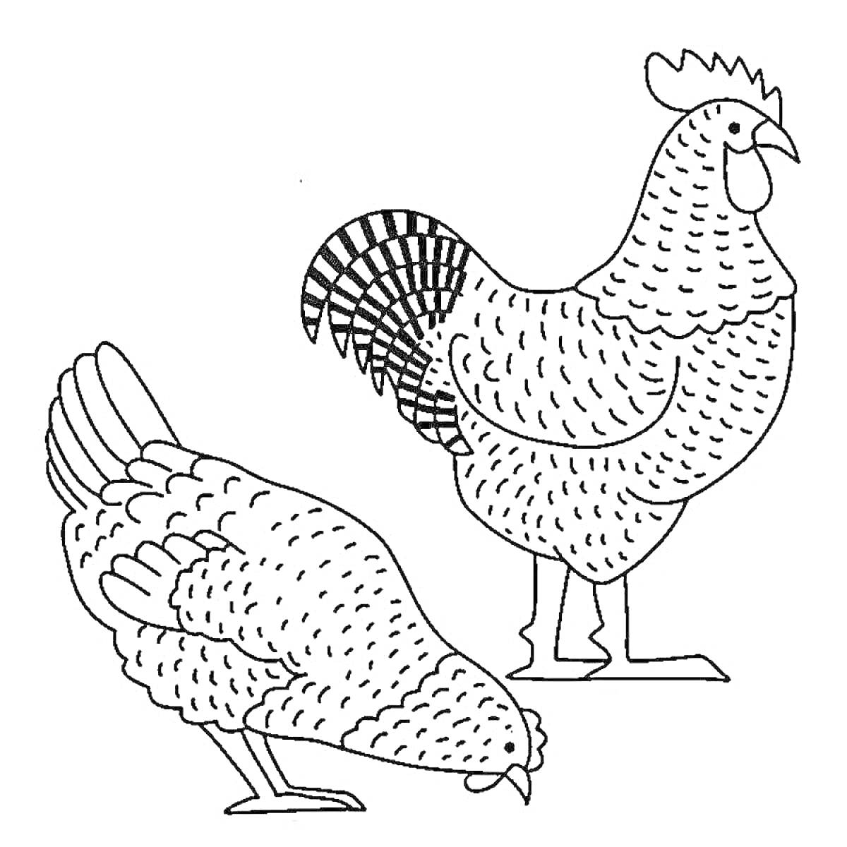 Раскраска Раскраска с двумя курами, стоящей курицей и клюющей курицей