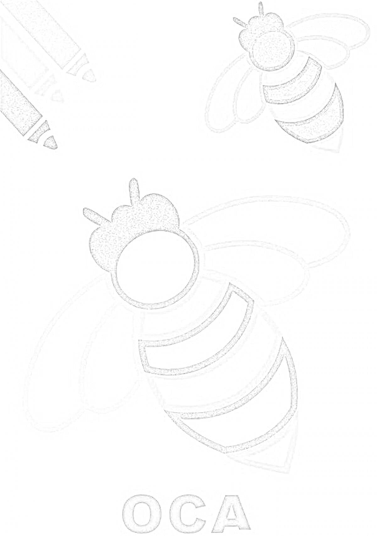 Раскраска с осой: две осы, три карандаша, надпись ОСА