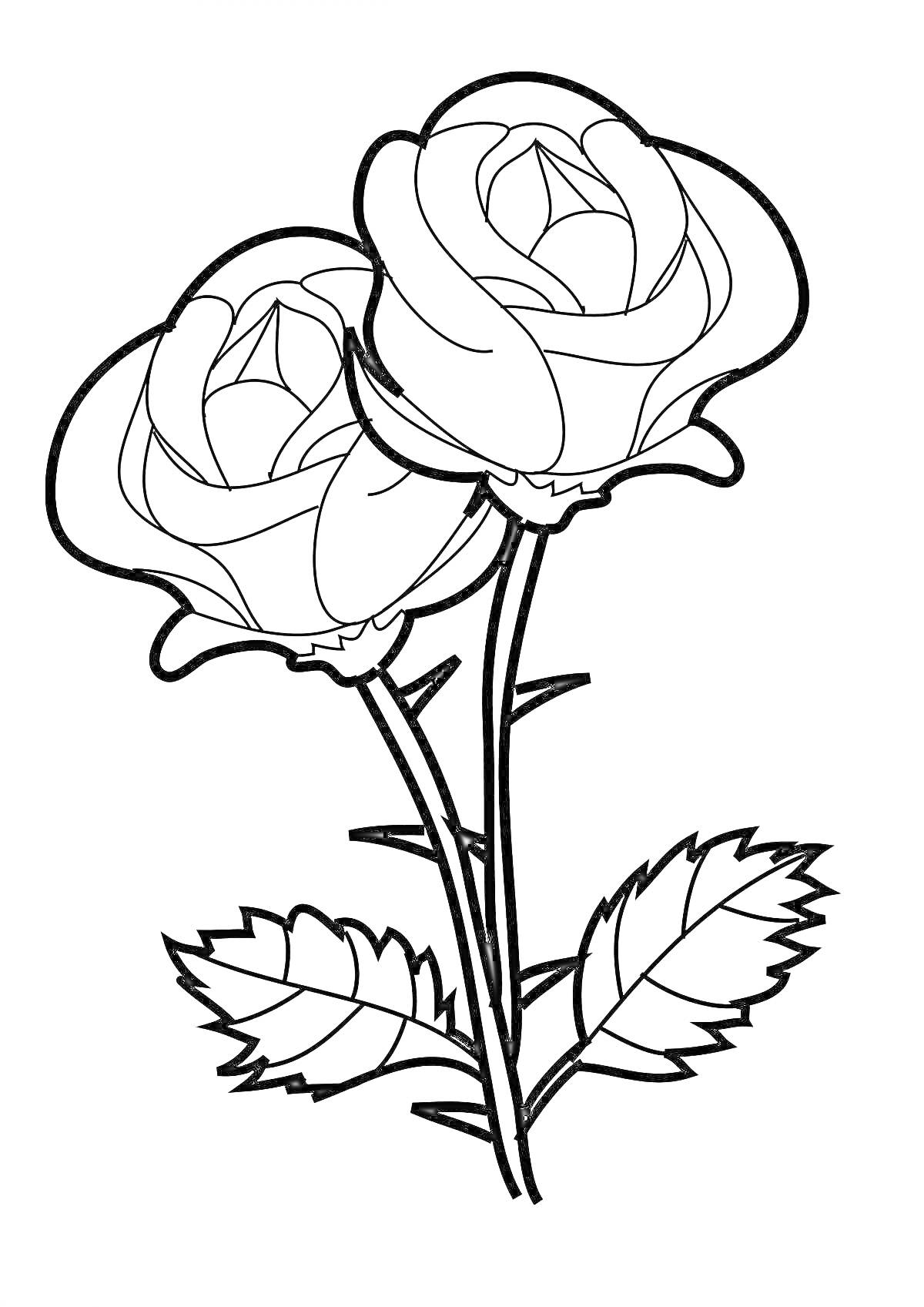 Раскраска Две розы с листьями