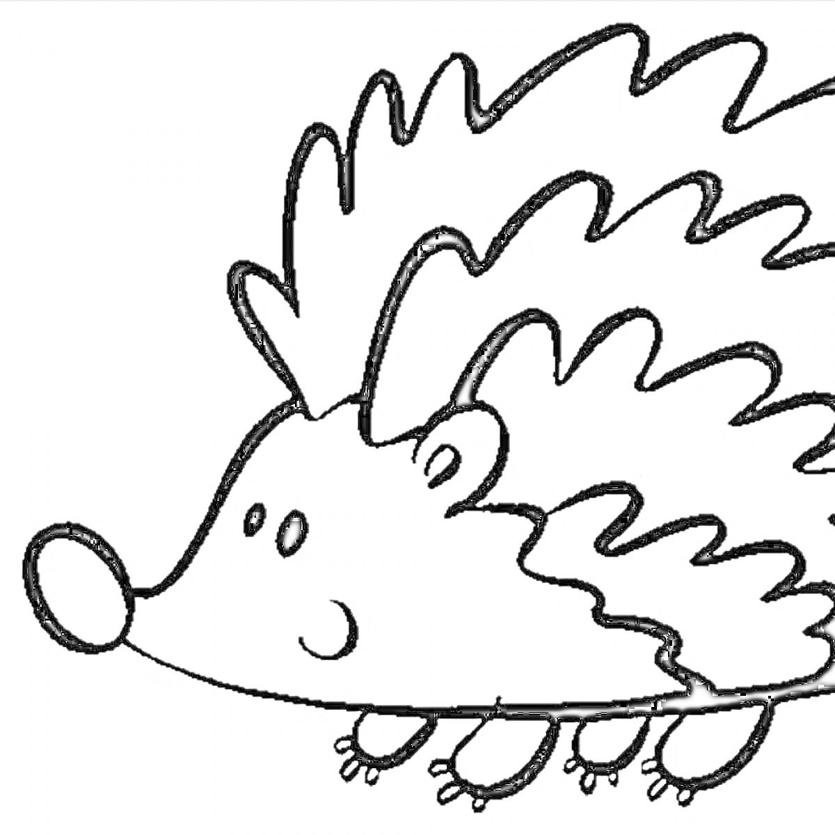Раскраска Ежик с большими глазами и носом, стоящий на четырех лапках, с острыми иголками на спине