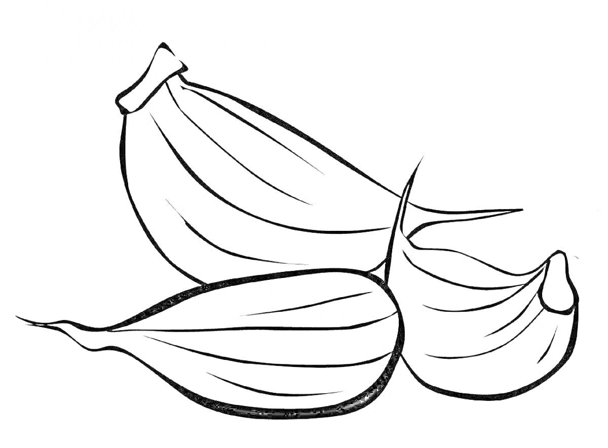 На раскраске изображено: Чеснок, Зубчики чеснока, Овощи, Контурные рисунки, Кулинария