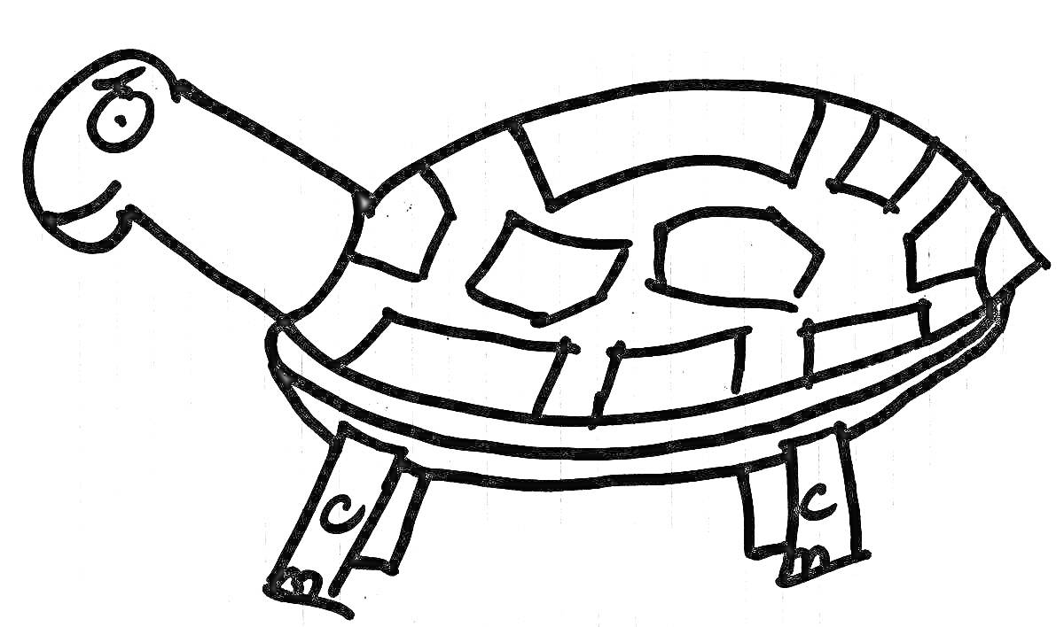 Раскраска Черепаха Майнкрафт с элементами панциря