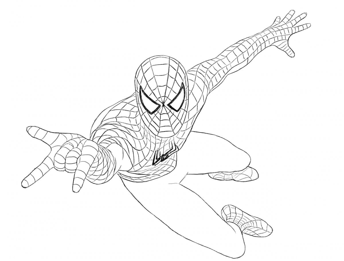 На раскраске изображено: Человек-паук, Паутина, Костюм, Комиксы