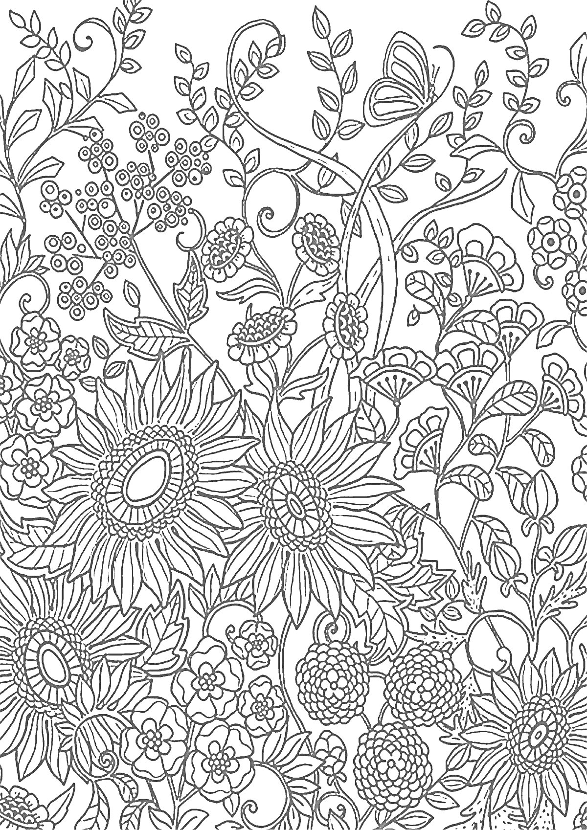 Раскраска Подсолнухи, цветы и бабочка в саду