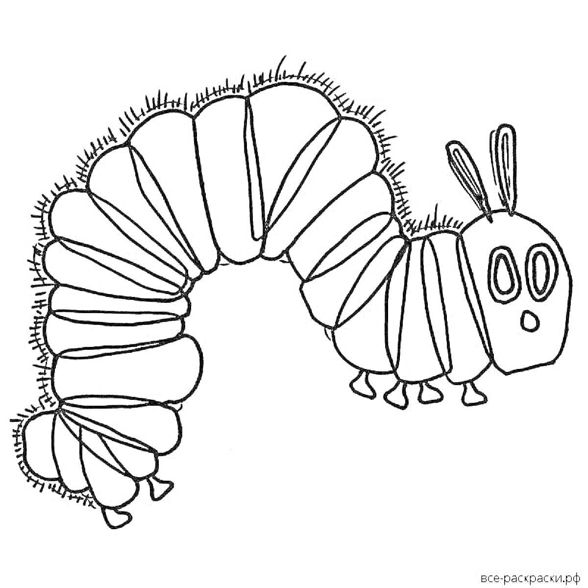Раскраска Гусеница с ушами мопса