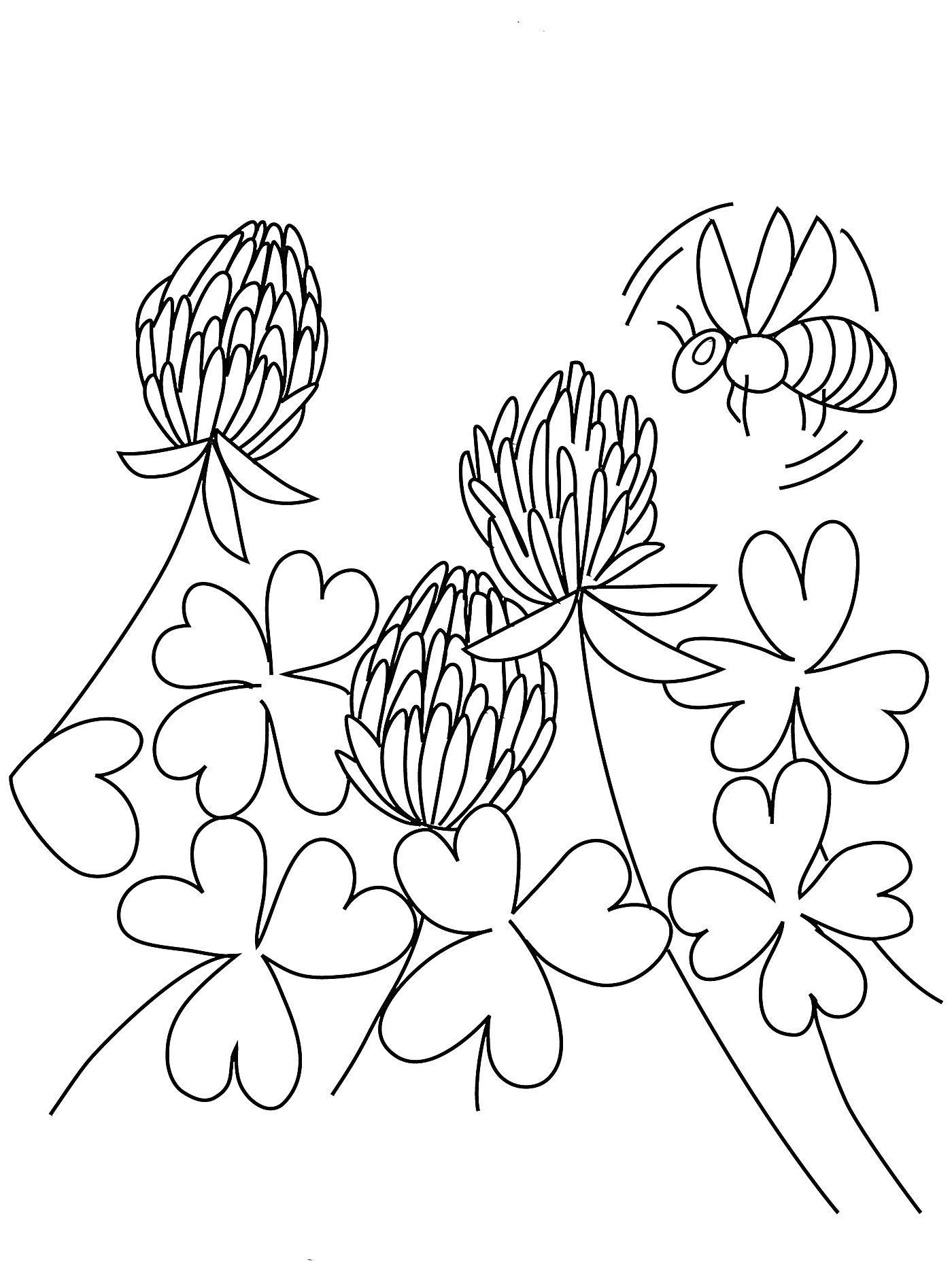 На раскраске изображено: Цветы, Луг, Клевер, Листья, Природа, Поле, Растения, Пчёлы
