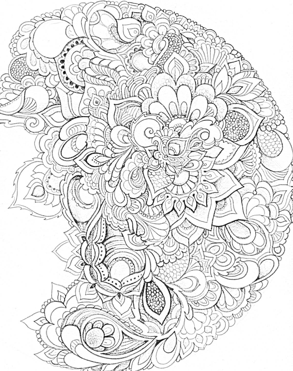 Раскраска Композиция в стиле антистресс с цветами, листьями и абстрактными узорами