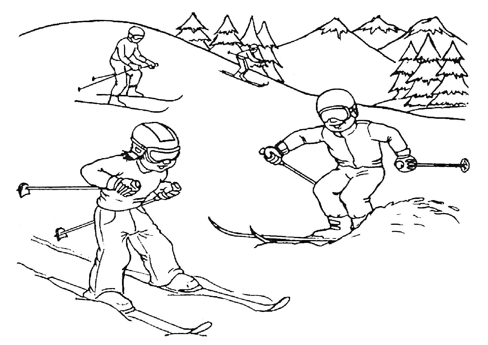 Лыжники на горной трассе, деревья, горы
