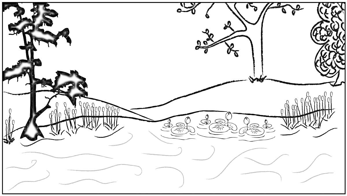 Раскраска Озеро с утками, деревьями и камышом