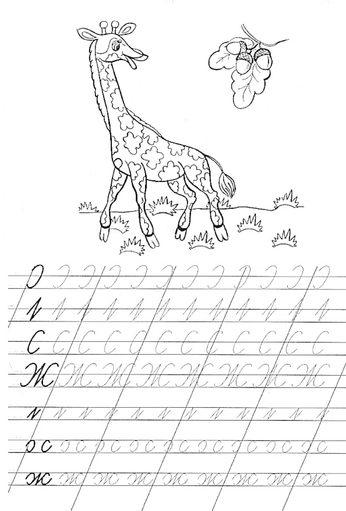 Раскраска Жираф и листья, прописи с буквой Ж