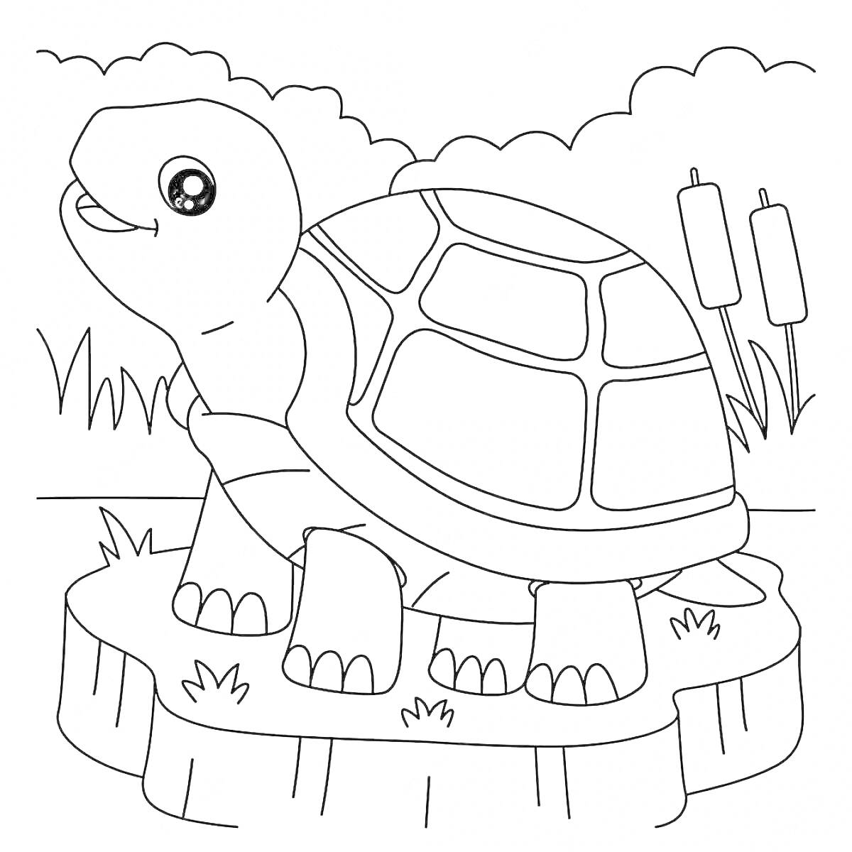 На раскраске изображено: Черепаха, Пень, Тростник, Трава, Природа