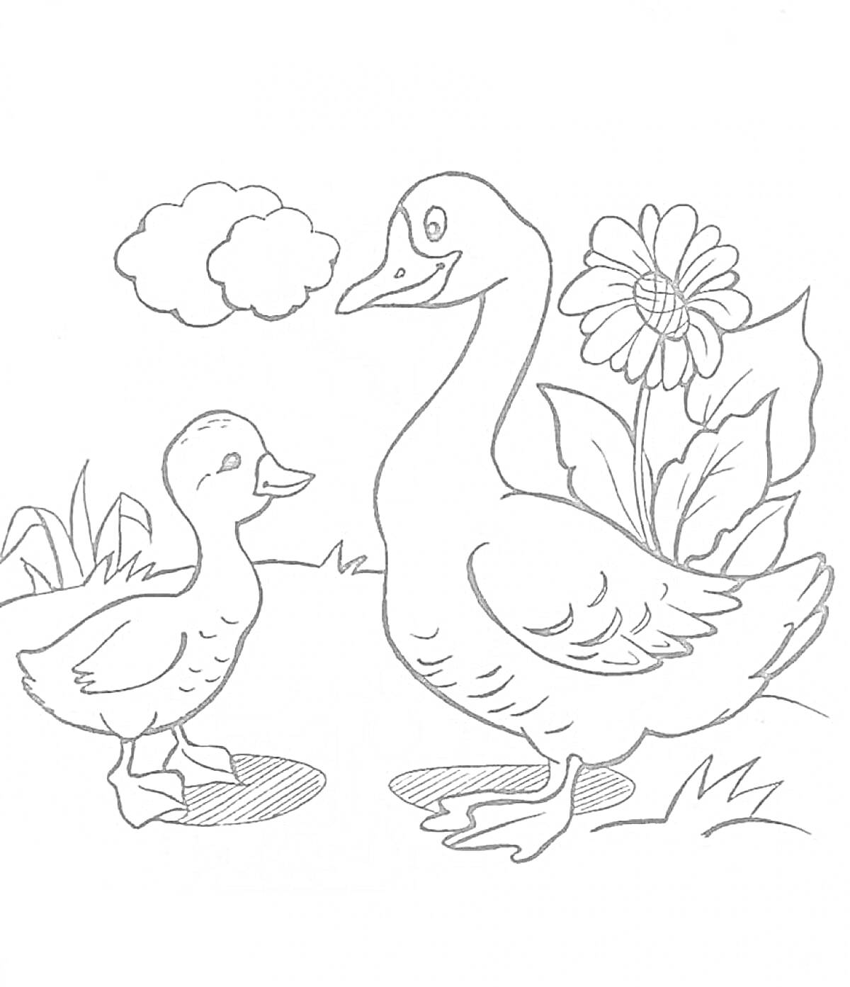 Раскраска Большая и маленькая утки на лужайке с растениями и облаком