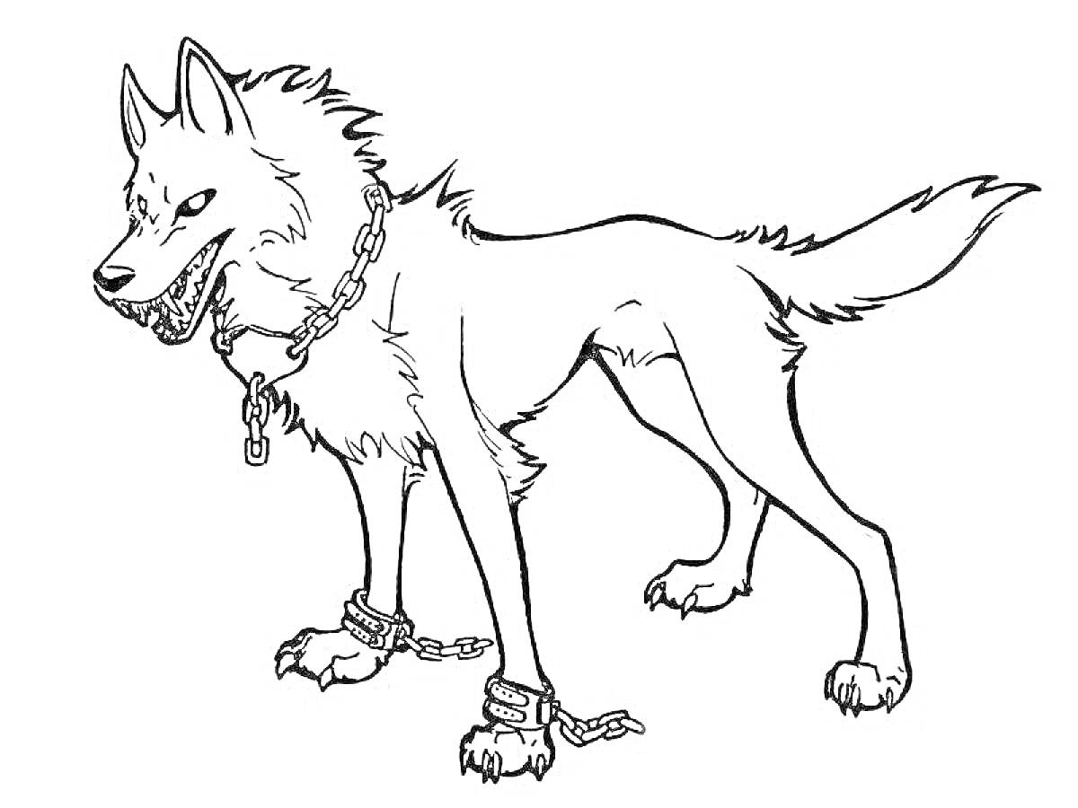 Раскраска Волк в цепях, стоящий на четырех лапах