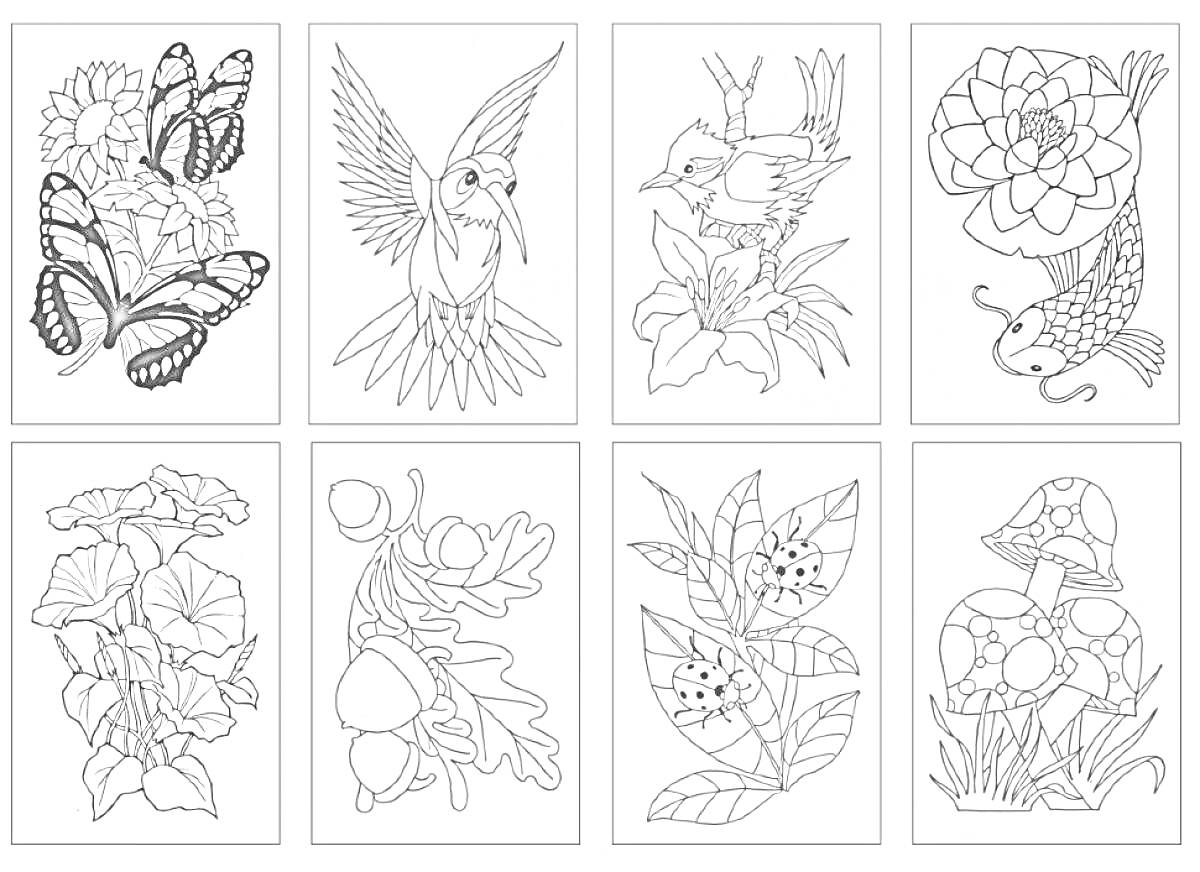 На раскраске изображено: Цветы, Колибри, Рыба, Листья, Ягоды, Грибы, Бабочка, Скетчбук