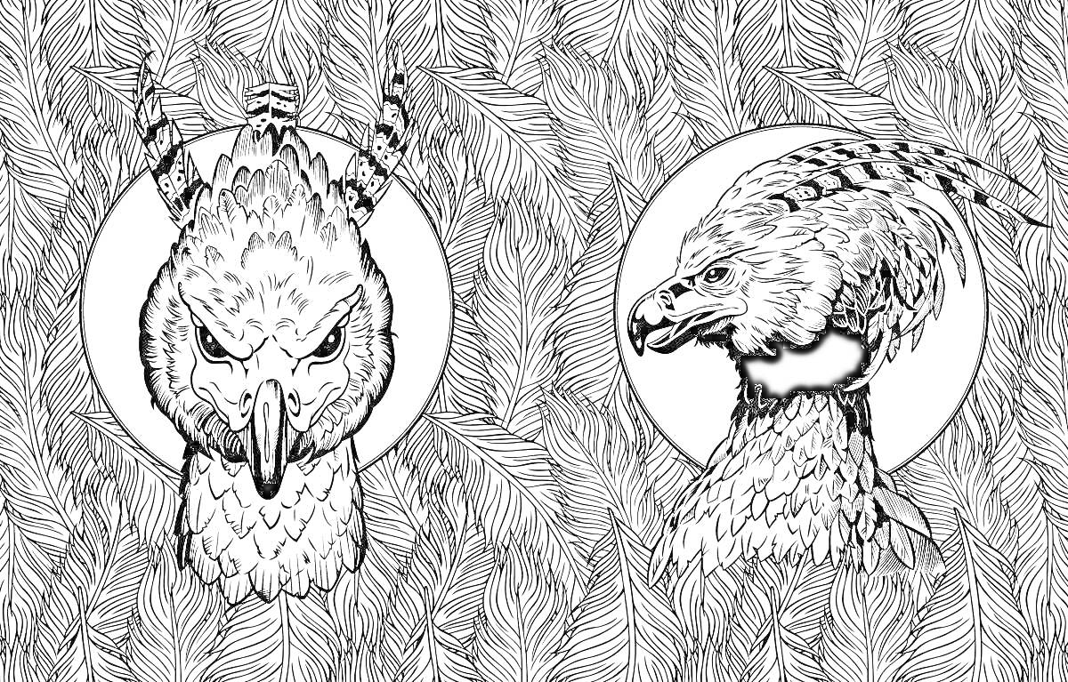 Раскраска Изображение двух гиппогрифов на фоне узора из перьев