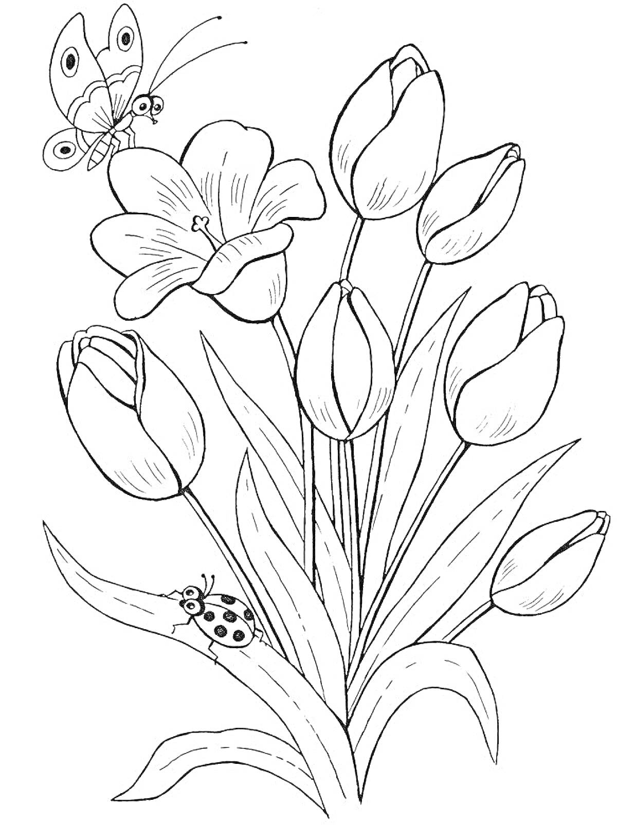 Раскраска Тюльпаны с бабочкой и божьей коровкой