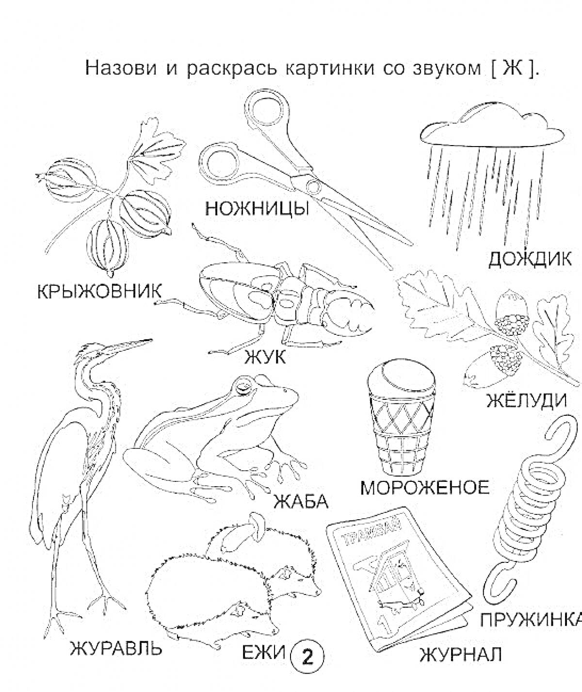 На раскраске изображено: Крыжовник, Ножницы, Дождик, Желуди, Жаба, Мороженое, Журавль, Журнал, Пружинка