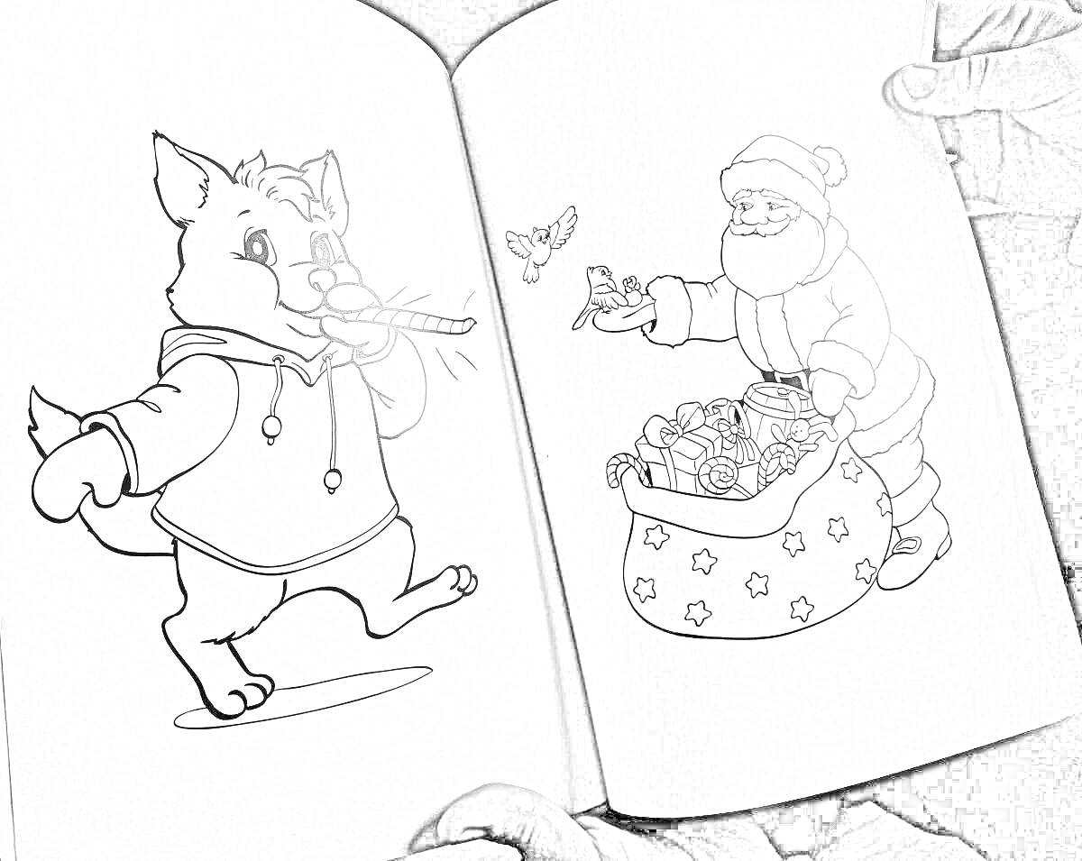 На раскраске изображено: Дудочка, Волшебник, Подарки, Книга, Животные, Птица