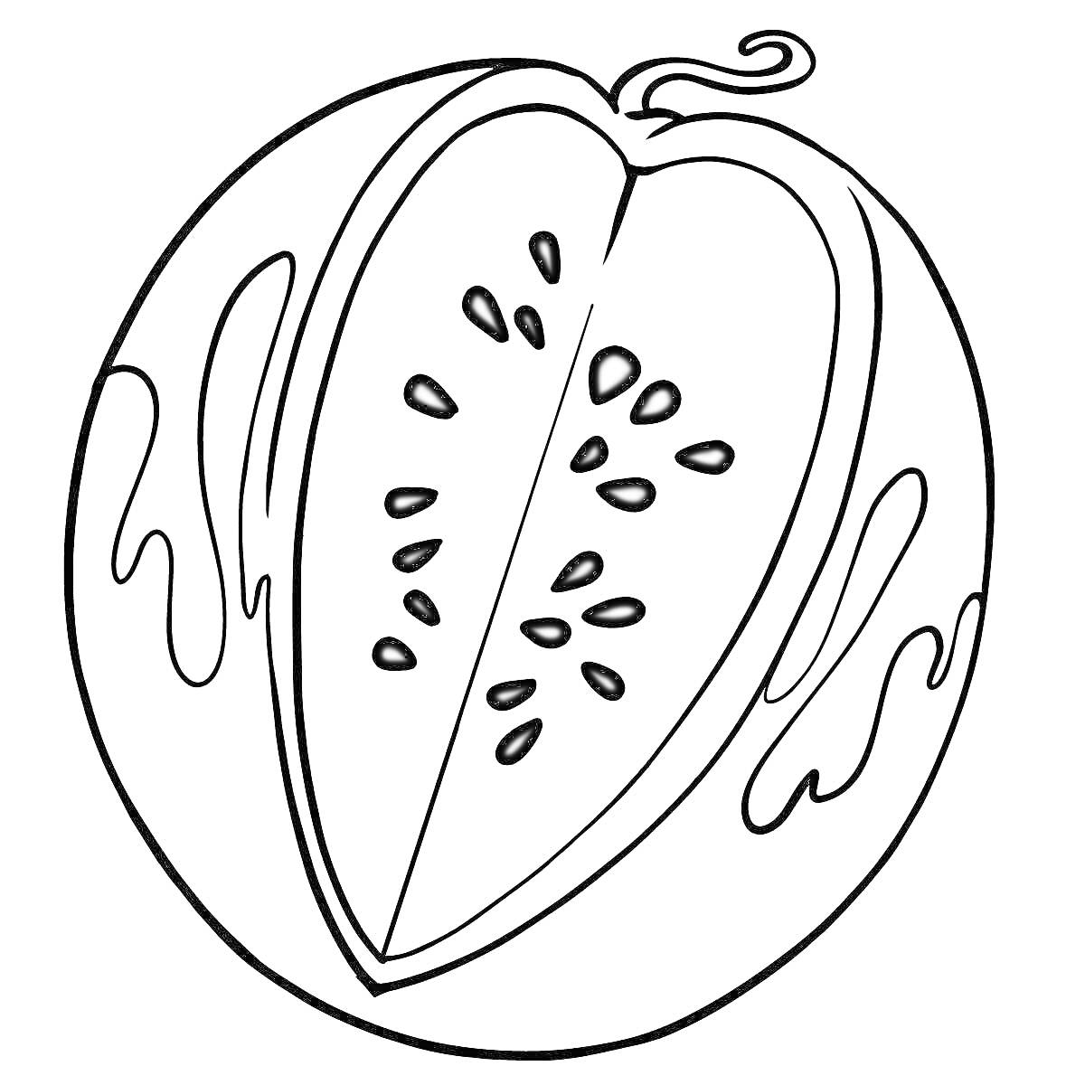 Раскраска арбуз в разрезе с семенами, арбуз с волнистыми элементами на кожуре