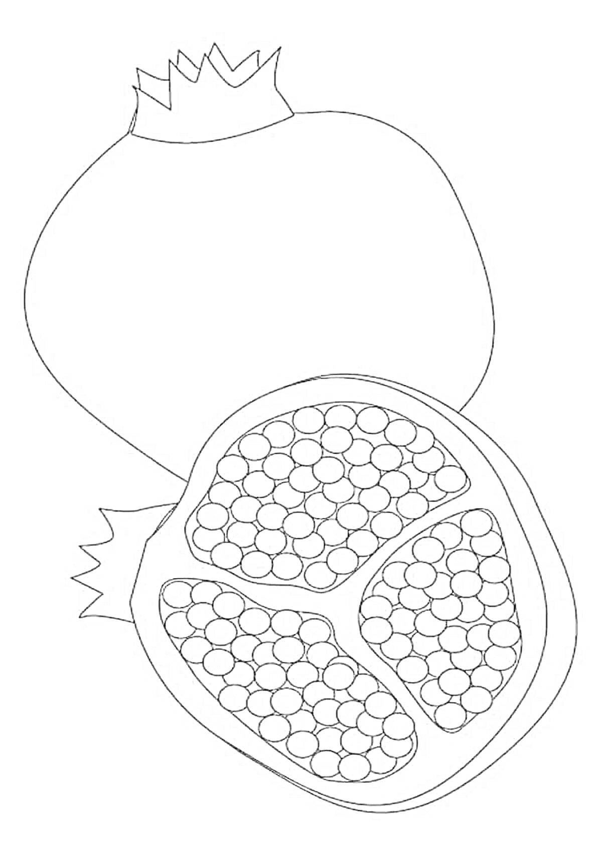 На раскраске изображено: Гранат, Разрезанный гранат, Зерна, Питание