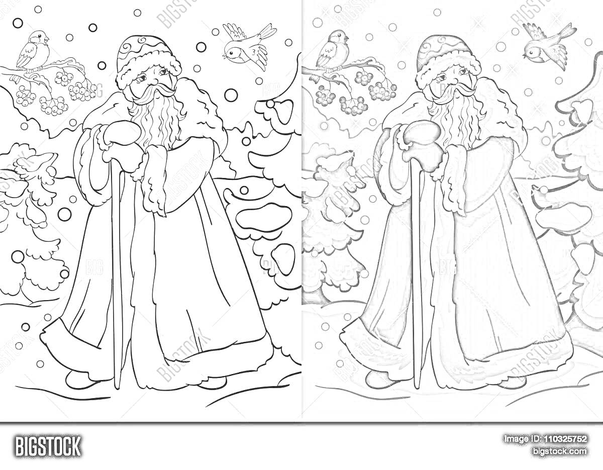 На раскраске изображено: Два Мороза, Зимняя сказка, Деревья, Зима, Снег, Рождество, Новый год