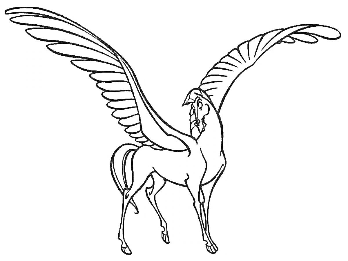 Раскраска Пегас-единорог с большими распахнутыми крыльями