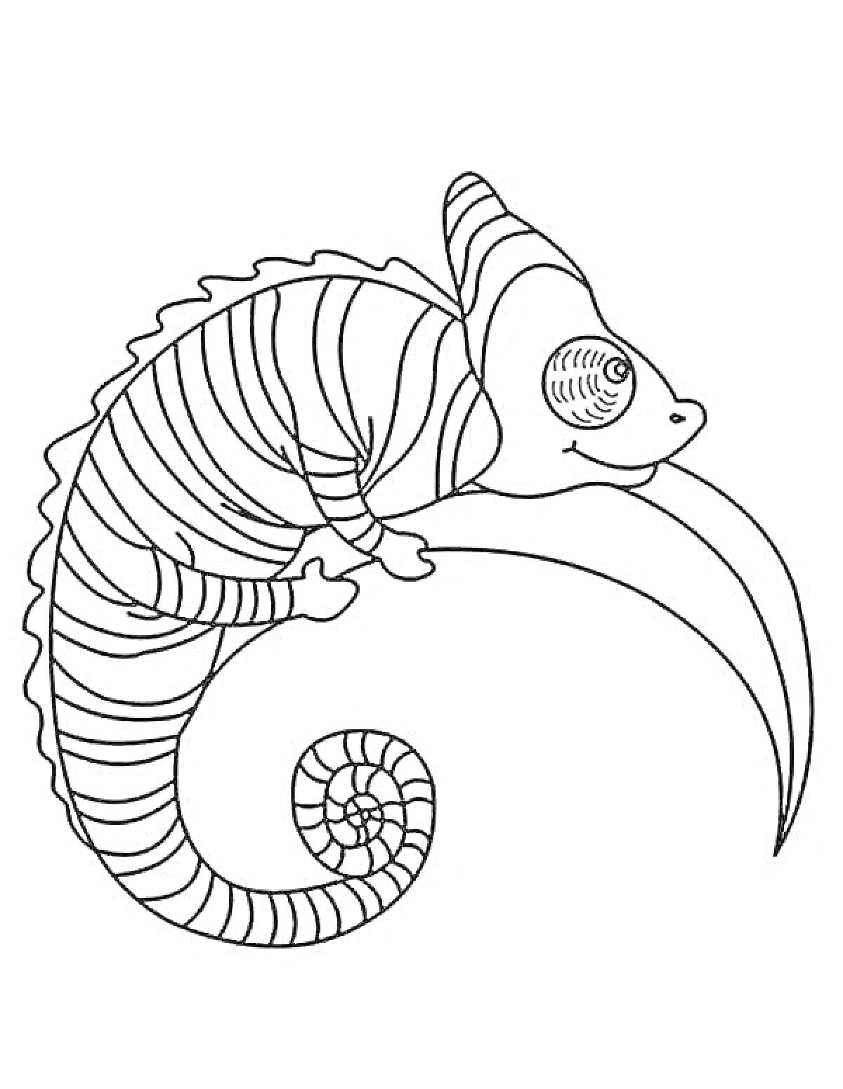 Раскраска Посидевший на ветке хамелеон с узорами спирали на теле и хвосте